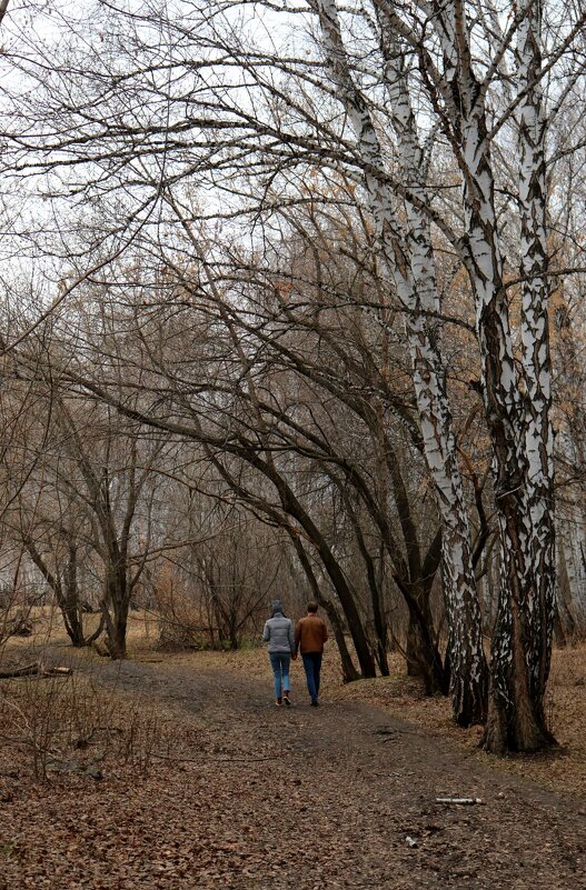 Прогулка в лесу ... - Татьяна Котельникова