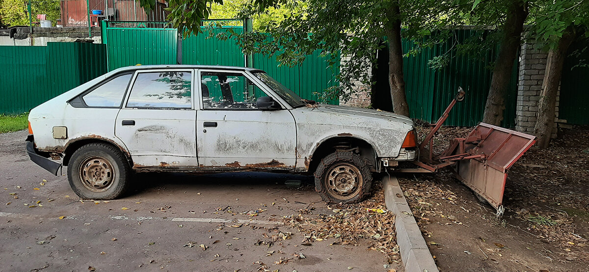 К зиме готов - Михаил Розенберг