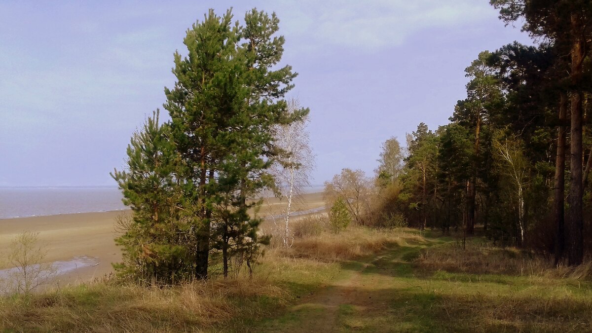 Весенняя картина . На берегу . - Мила Бовкун