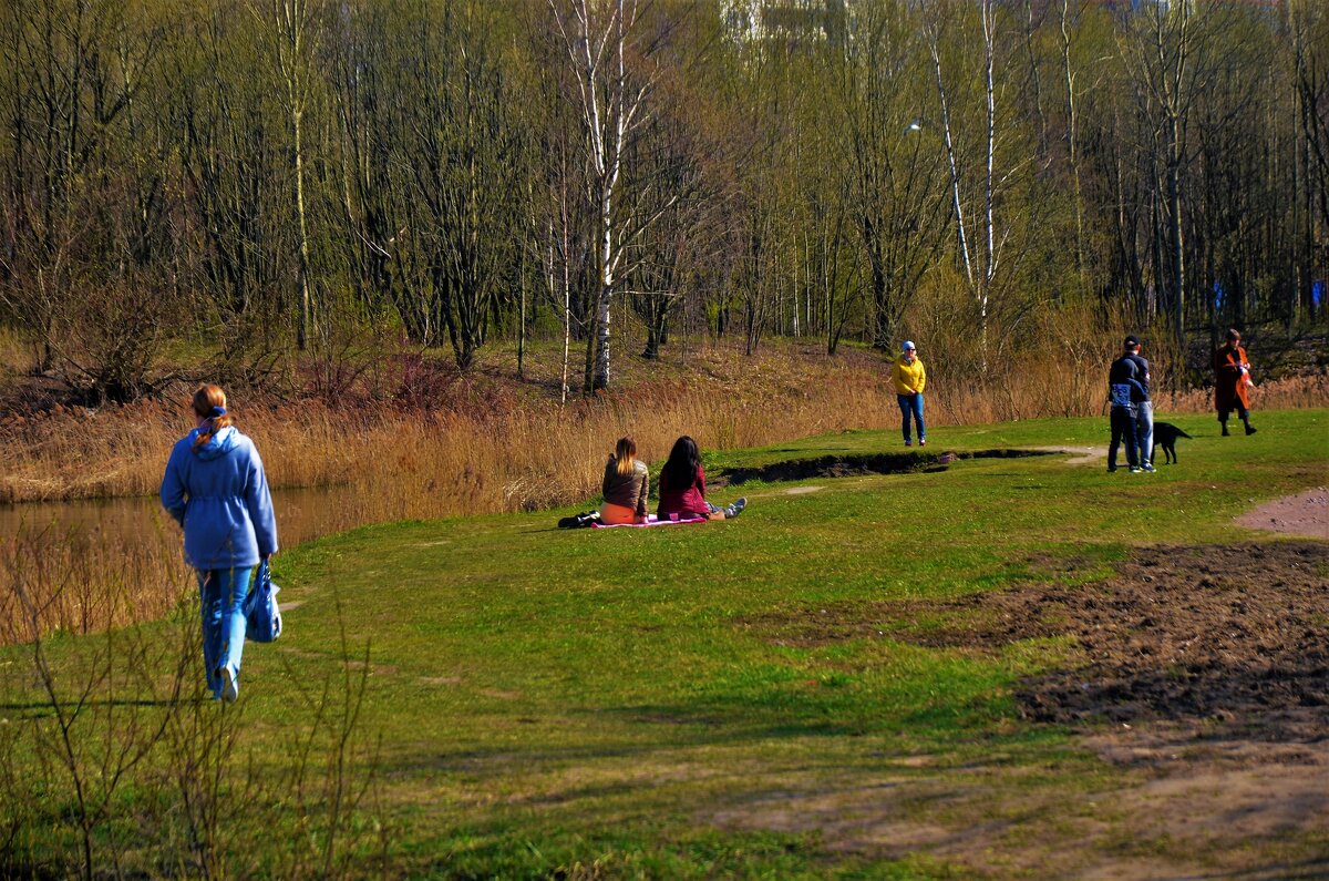 Самоизоляция в Пулковском Парке... - Sergey Gordoff