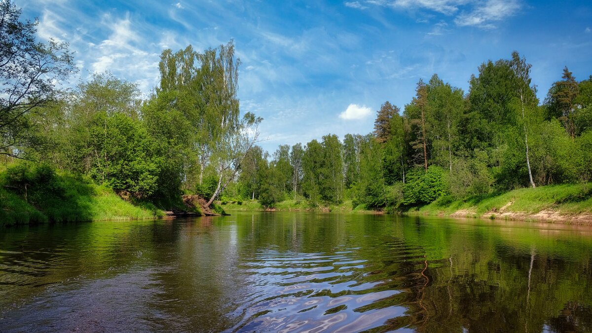 Река Плюсса Ленинградской области