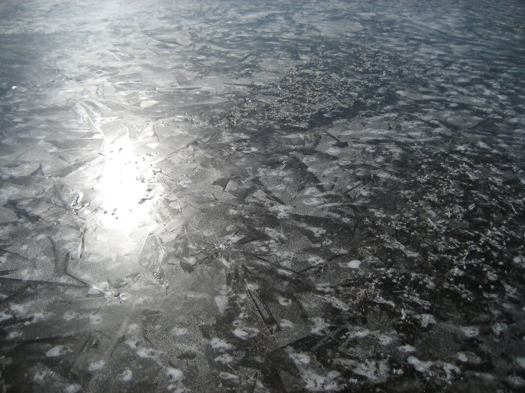 Замерзшее поле - Anna Ivanova