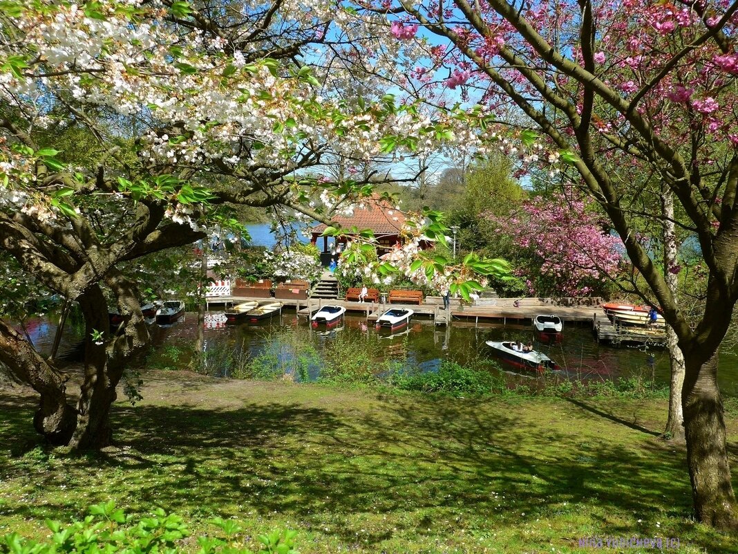 Stadtpark Hamburg - Nina Yudicheva