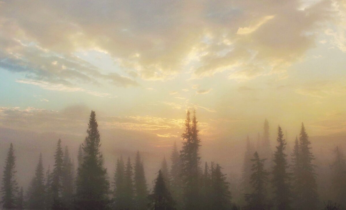 Туманное утро - Сергей Чиняев 