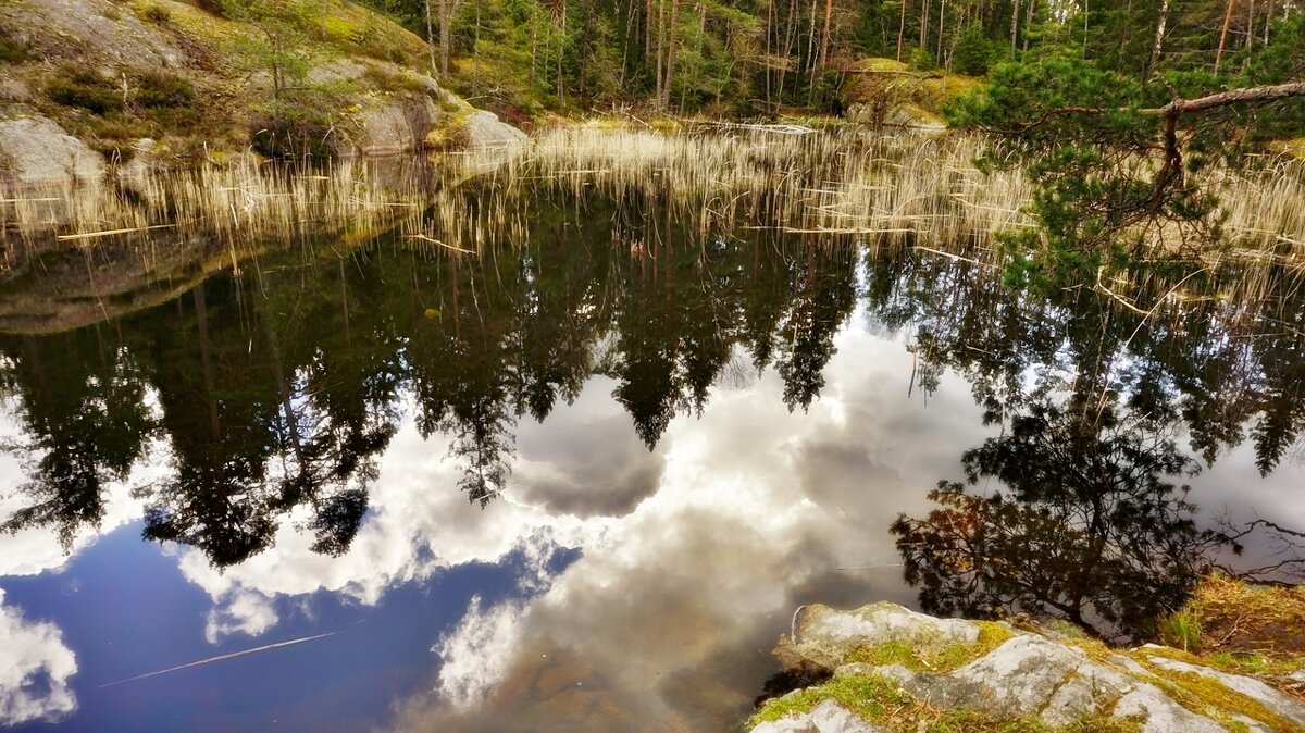 Лесное озеро с прозрачною водой, спокойной красотой пленяет всех - wea *