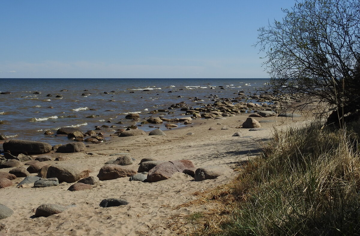 каменистый пляж - ИННА ПОРОХОВА