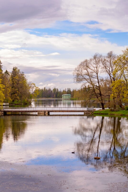 Весенний пейзаж Дворцового парка в Гатчине - Дарья Меркулова