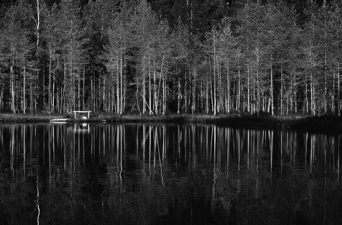 Озеро в лесу - Юлия Никитина