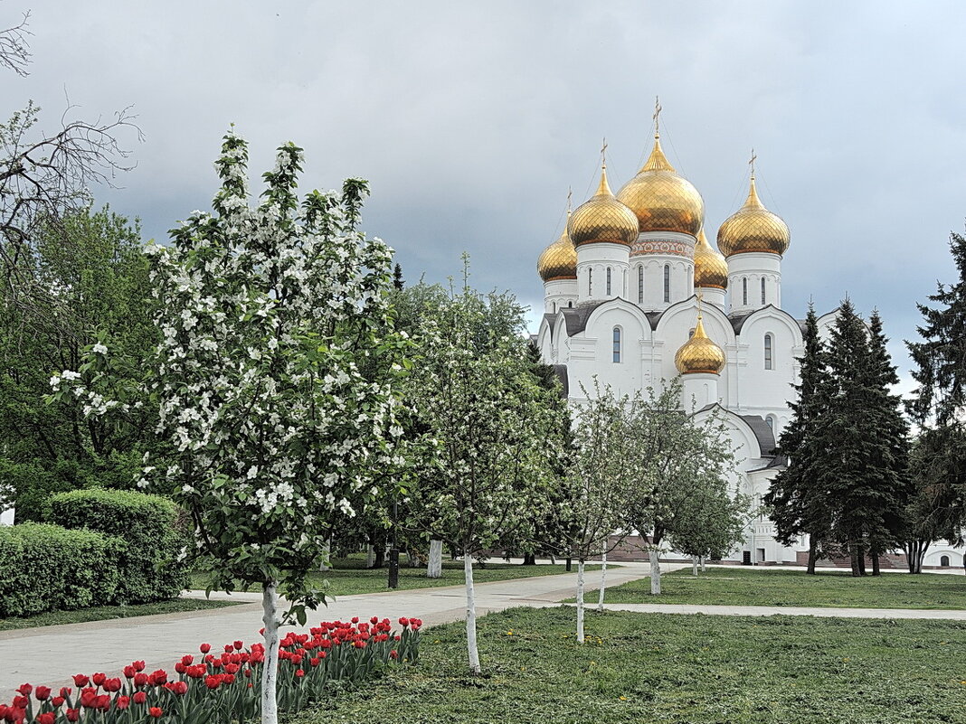 Ярославль, чудесное майское преображение - Николай Белавин