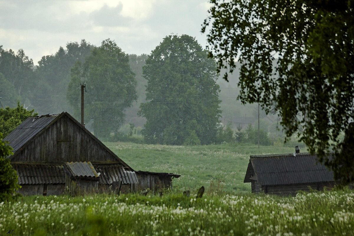 Дождливо - Александр 