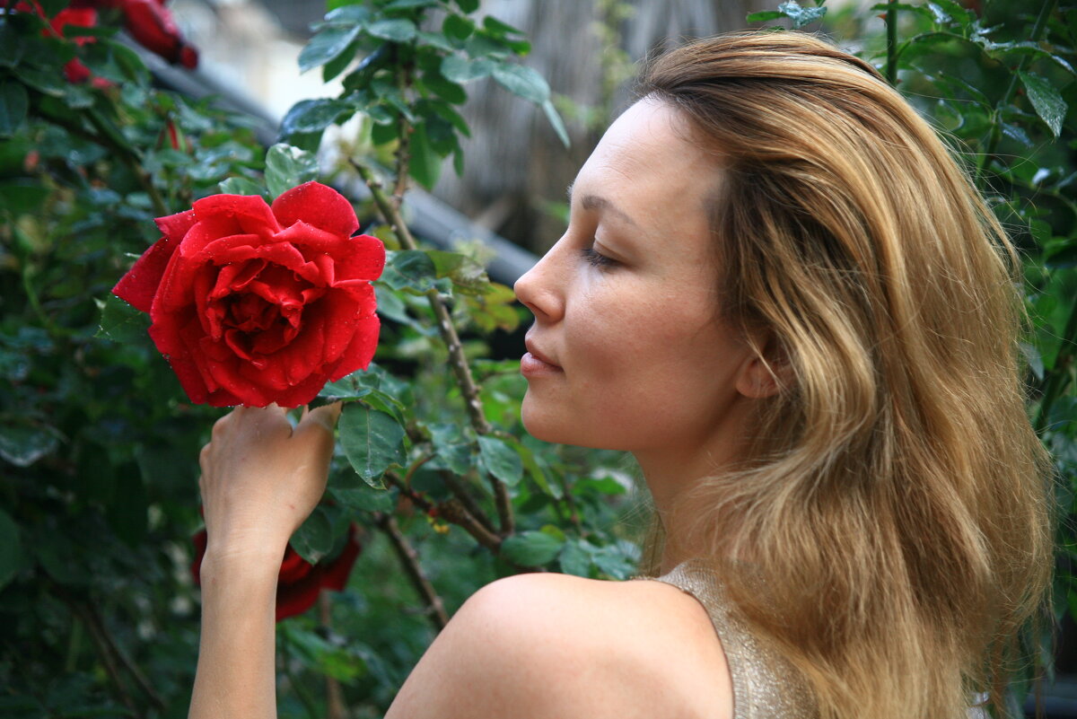 …Роза красная цвела… - сашка ярмарков