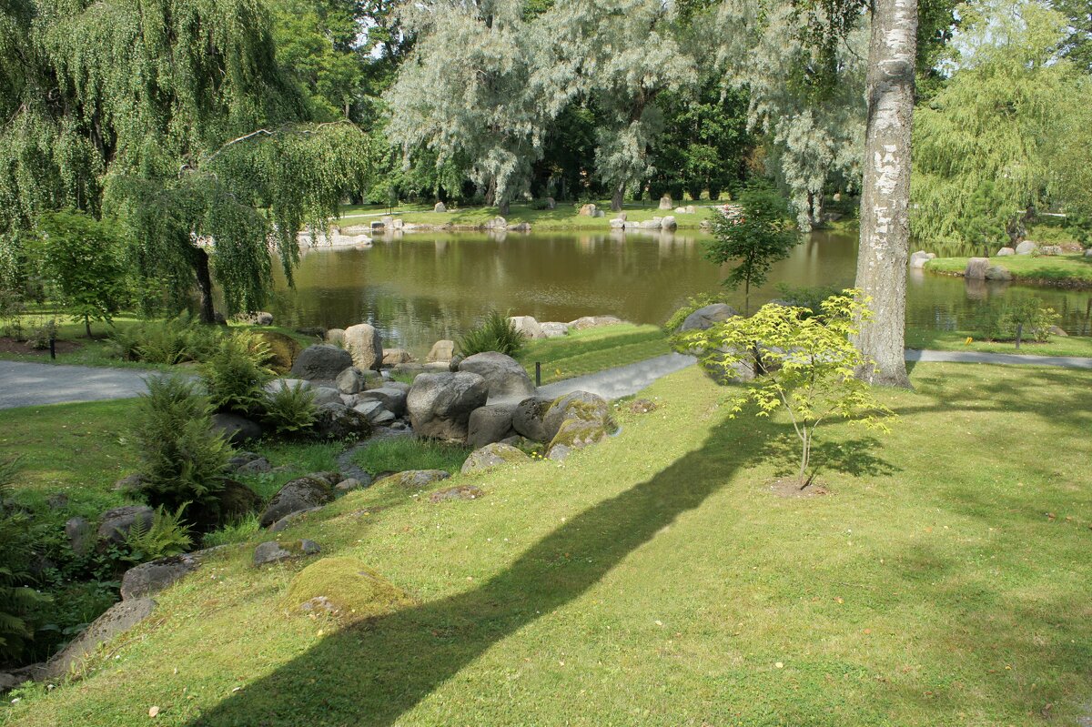 Японский сад в парке Кадриорг - Елена Павлова (Смолова)