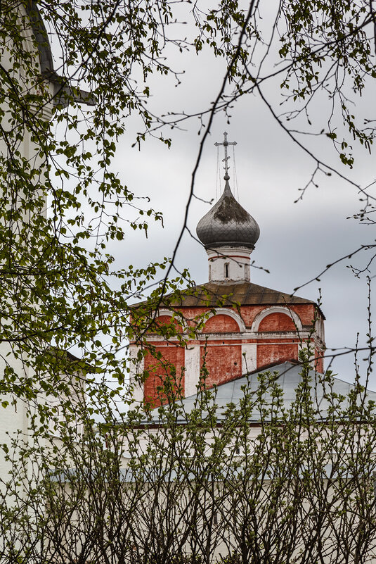 *** - Наталья Кузнецова