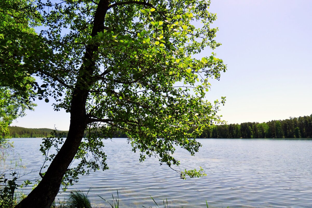 На озере Инышко - Oksana ***