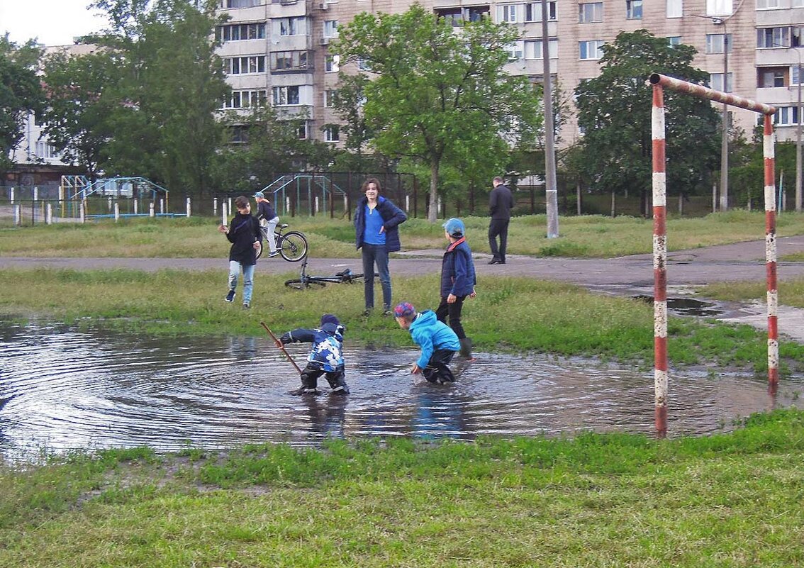 После ливня рыбу можно поймать на футбольном поле? - Тамара Бедай 