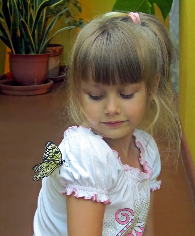 На выставке бабочек - Нина Синица
