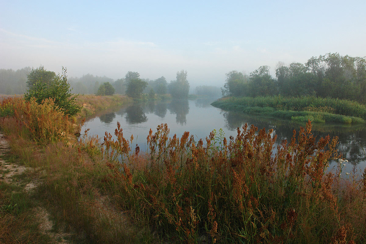 Туманное утро на реке Гусь - Сергей Курников