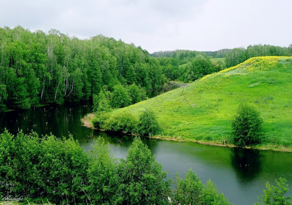Река Кирилловка - Raduzka (Надежда Веркина)