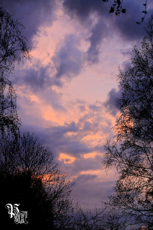 Фиолетовое небо - Romanishka Okat'ev