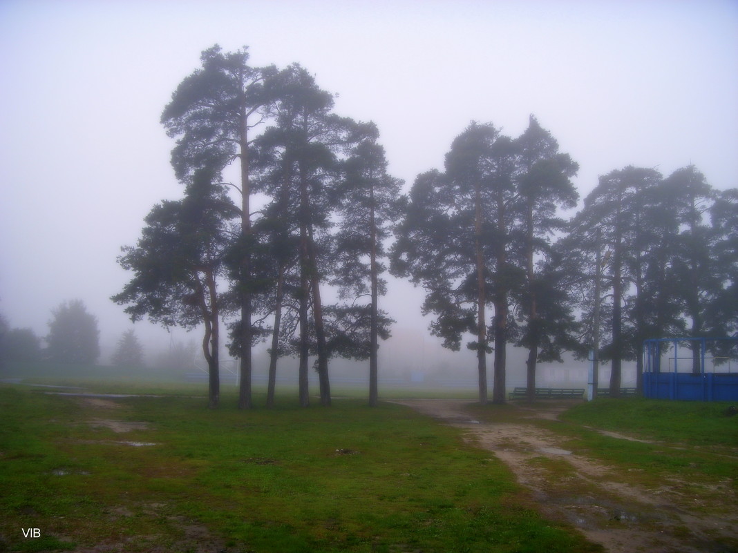Утренний осенний туман - Владимир 