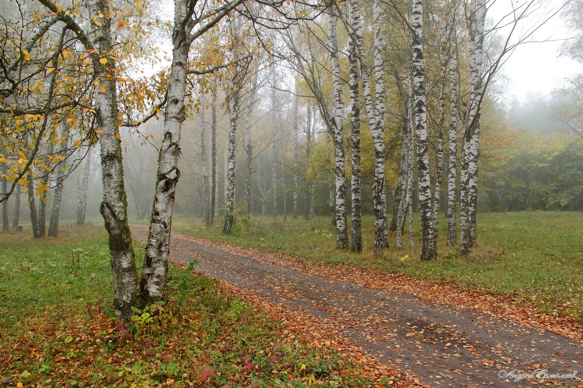 Осень - Андрей Ермолаев