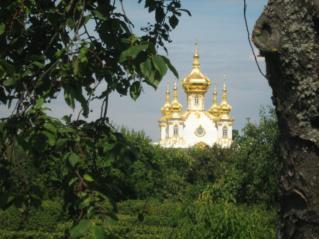 церковь - Светлана 