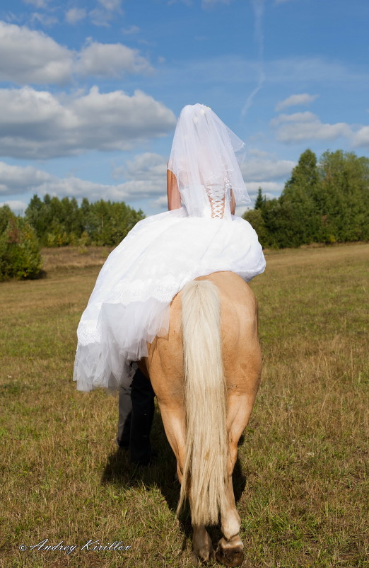 Сбежавшая невеста - Андрей Кириллов