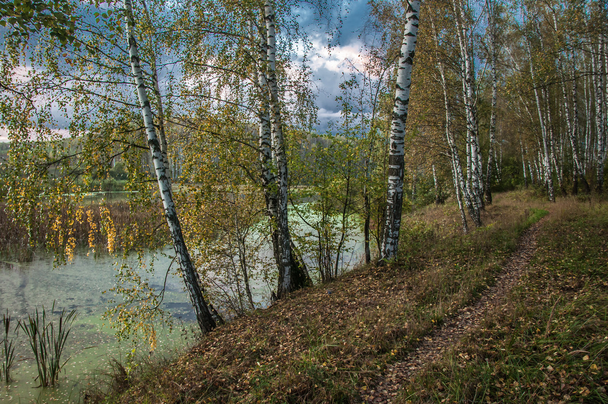 Осенний мотив - Анатолий 71 Зверев