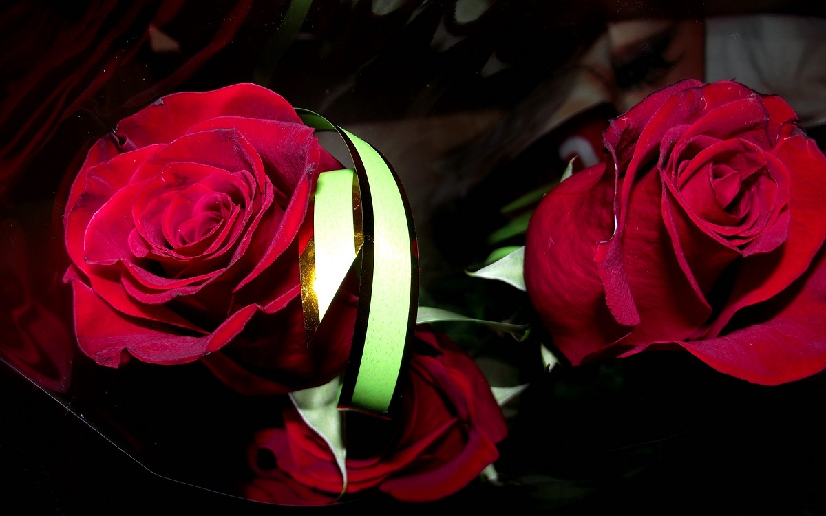 Красные розы - Екатерина Чурина
