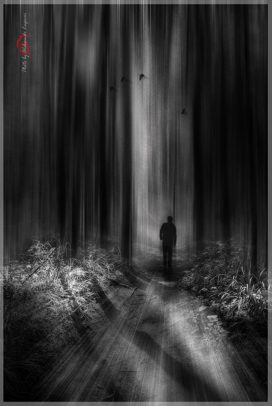 Прогулки по лесу - Александр Луговой