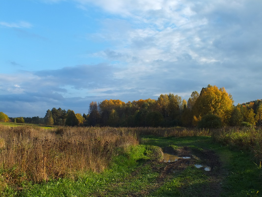 по дороге в осень - Вероника Шелкова