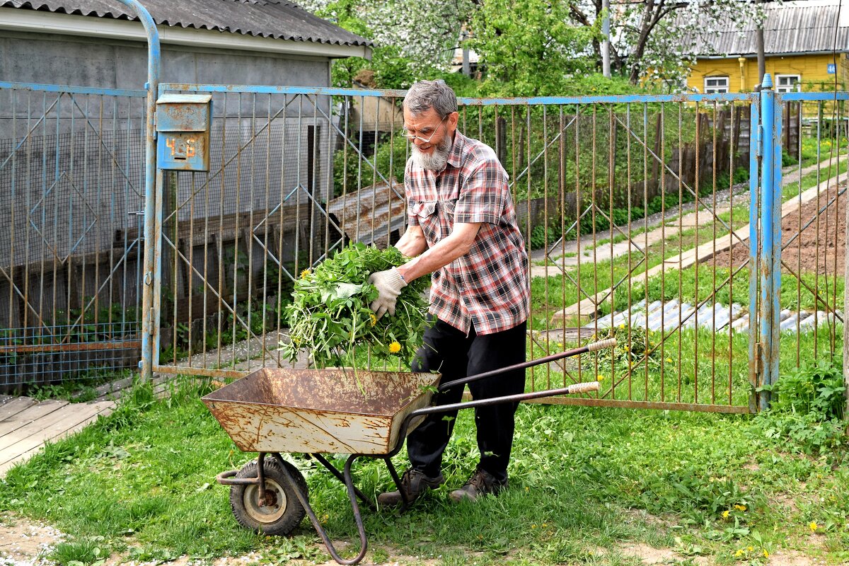 Есть дачка, есть и тачка! - Татьяна Помогалова