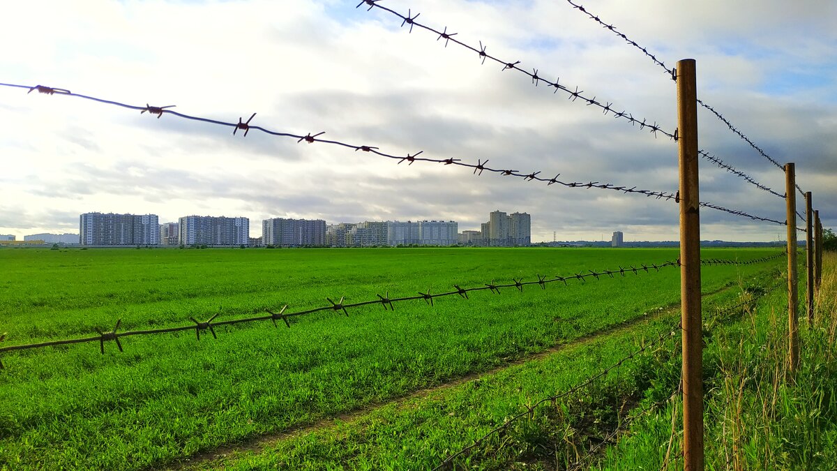 Бугры Санкт-Петербург - Роман Алексеев