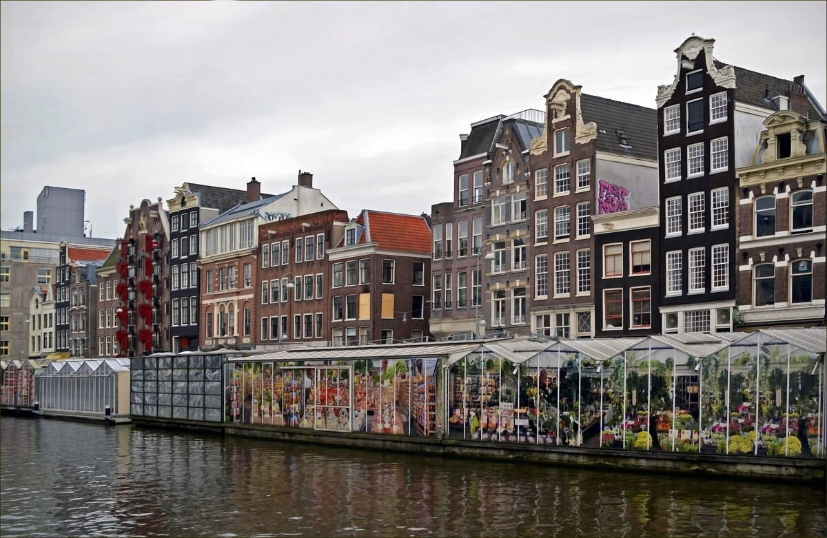 Цветочный рынок в Амстердаме - Нина Синица