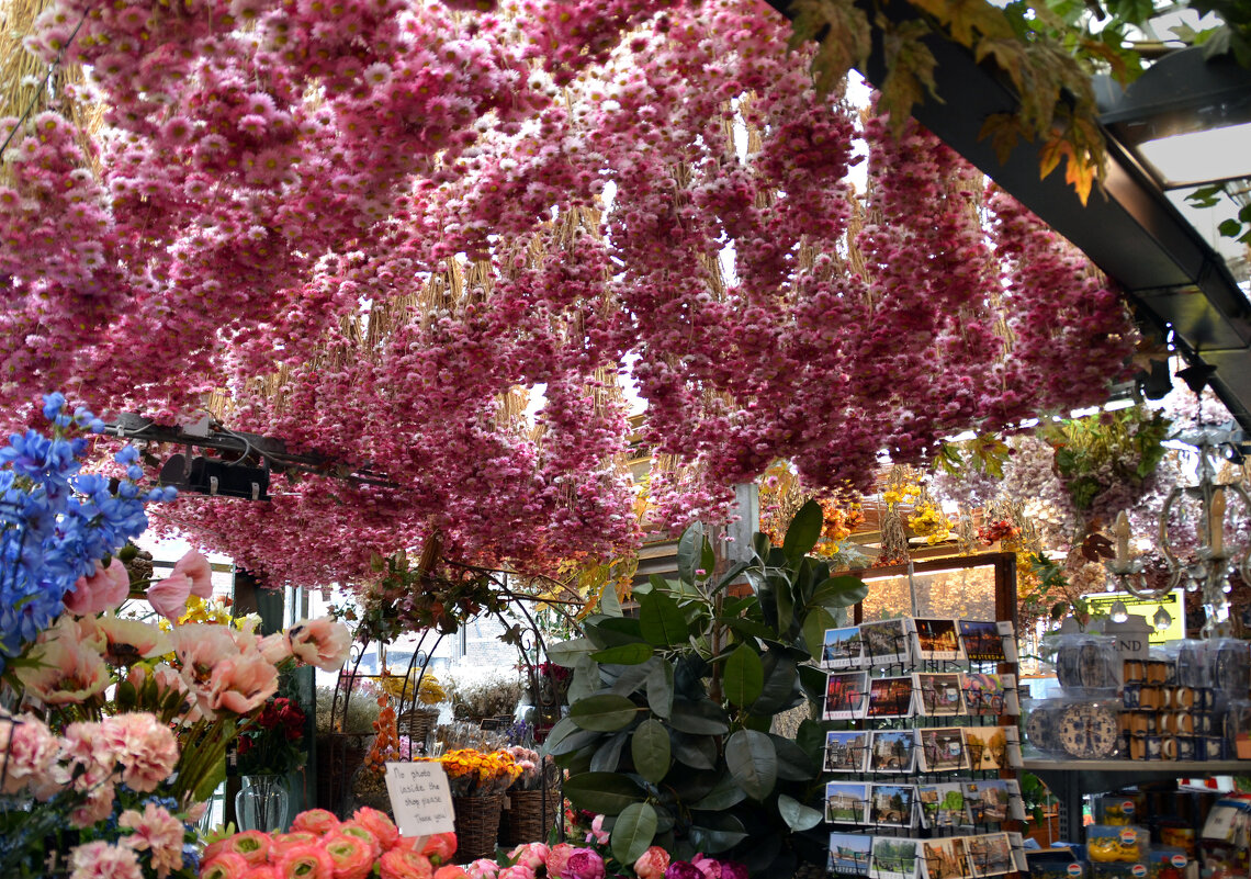 Интерьер павильона цветочного рынка - Нина Синица