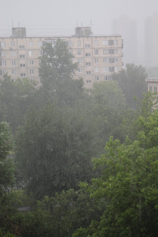 В Москве катастрофическая непогода - Валерий 