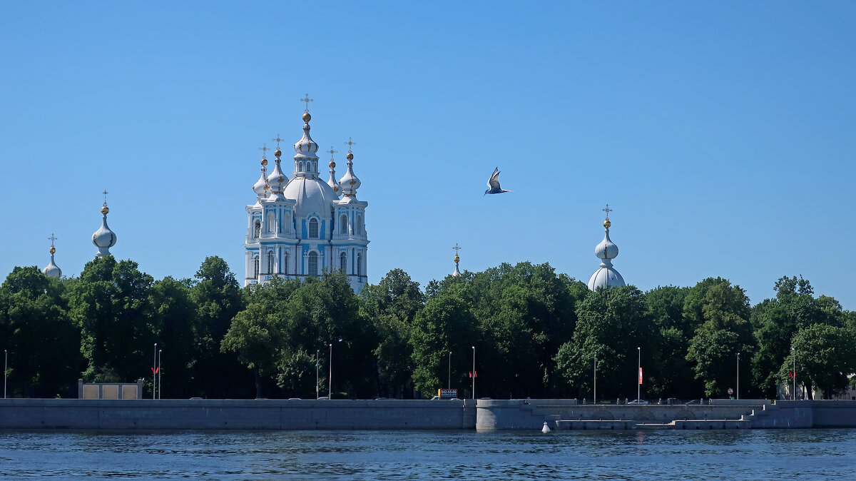 Воздух был сегодня синим - Тата Казакова