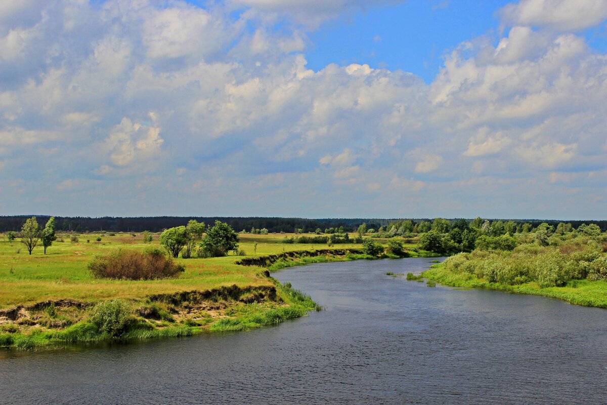 Река Ипуть - Сергей 
