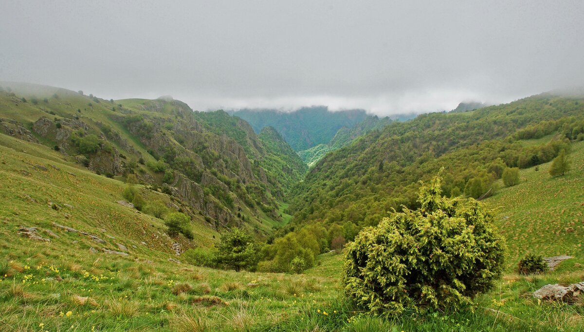 Природные ландшафты по дороге на Джылы-Суу - Дмитрий Сарманов