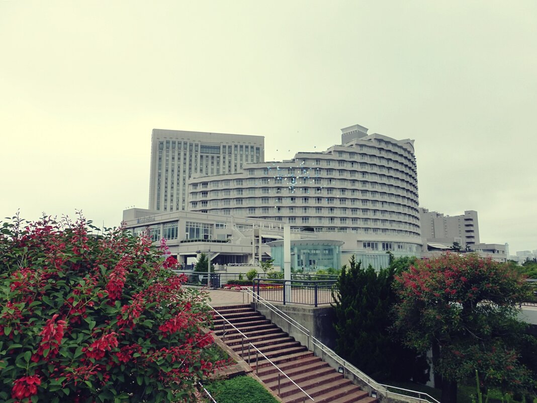 Отель*****"Hilton Tokyo Odaiba"с видом на токийский залив - wea *
