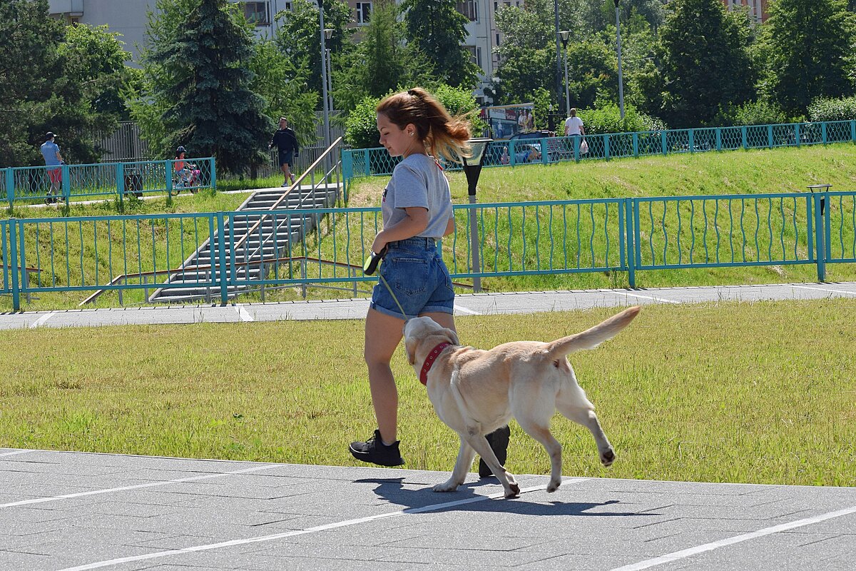 - Бежим домой, лапы горят - - Татьяна Помогалова