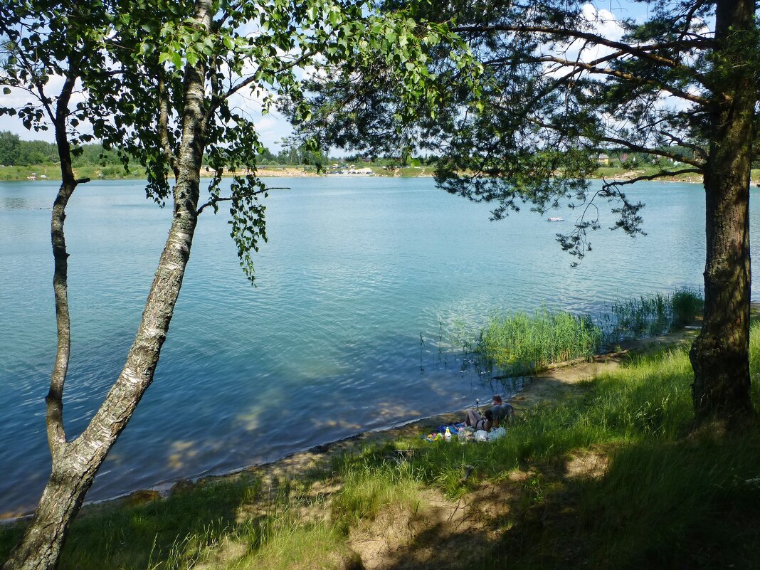 Озеро Леданово в Монино - Лидия Бусурина