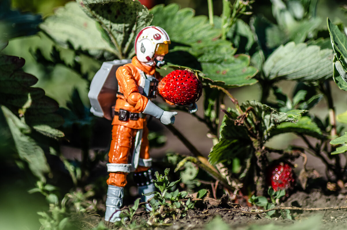 "И на Марсе будут... ягоды расти"! - Андрей Щетинин