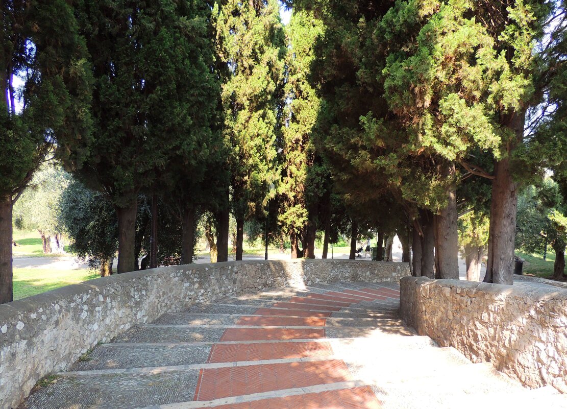 Ступеньки монастырского сада ведут к оливковой роще - Гала 