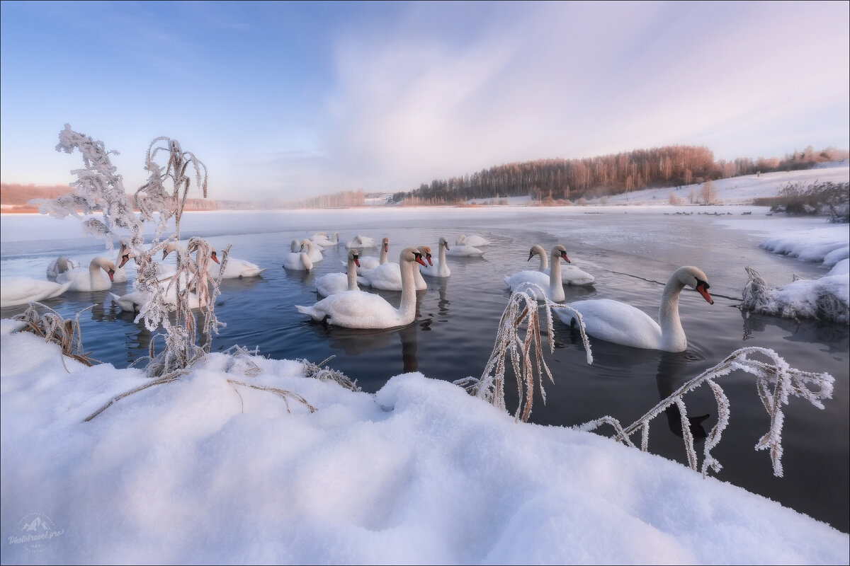 Утро на Лебедином озере - Влад Соколовский