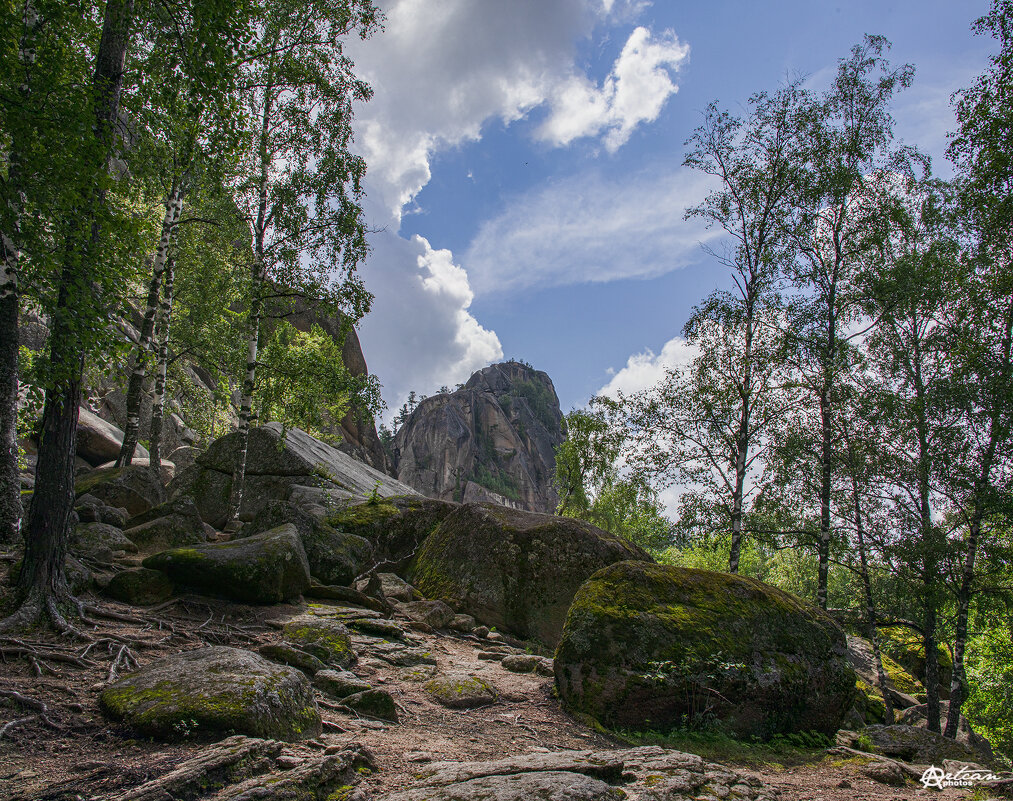 Небо в заплатах - Аркан Арканович