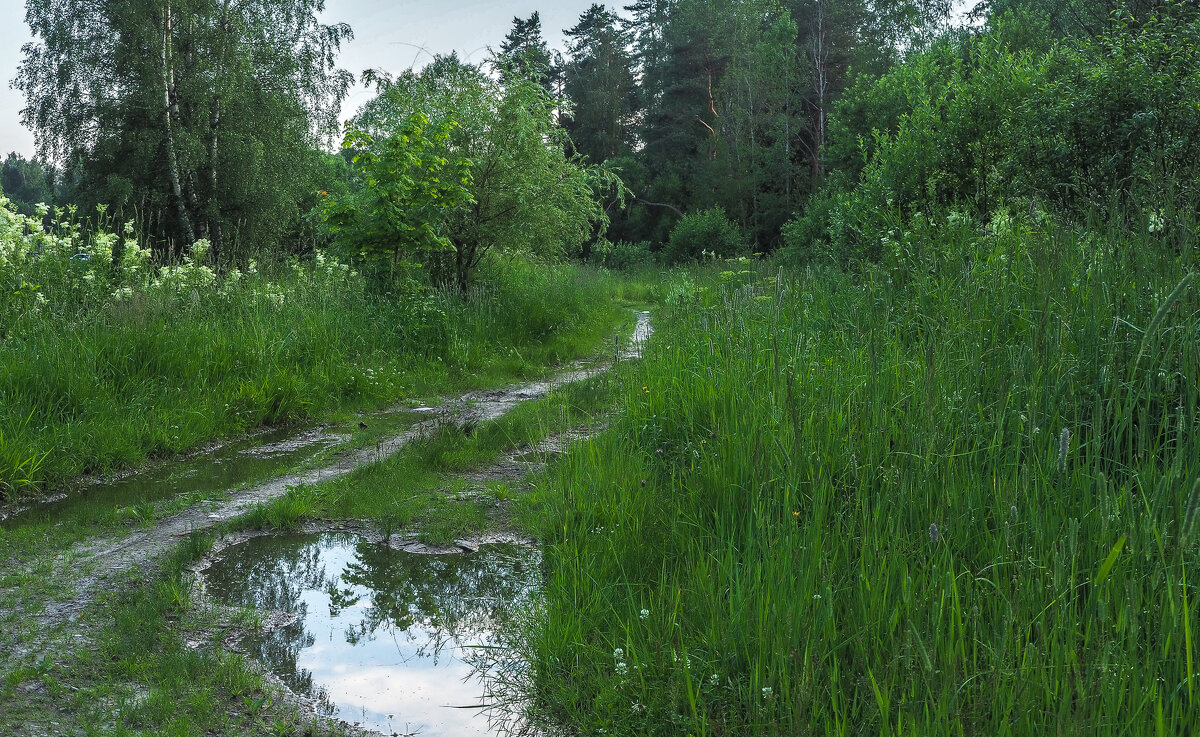 Стёжки Дорожки - юрий поляков