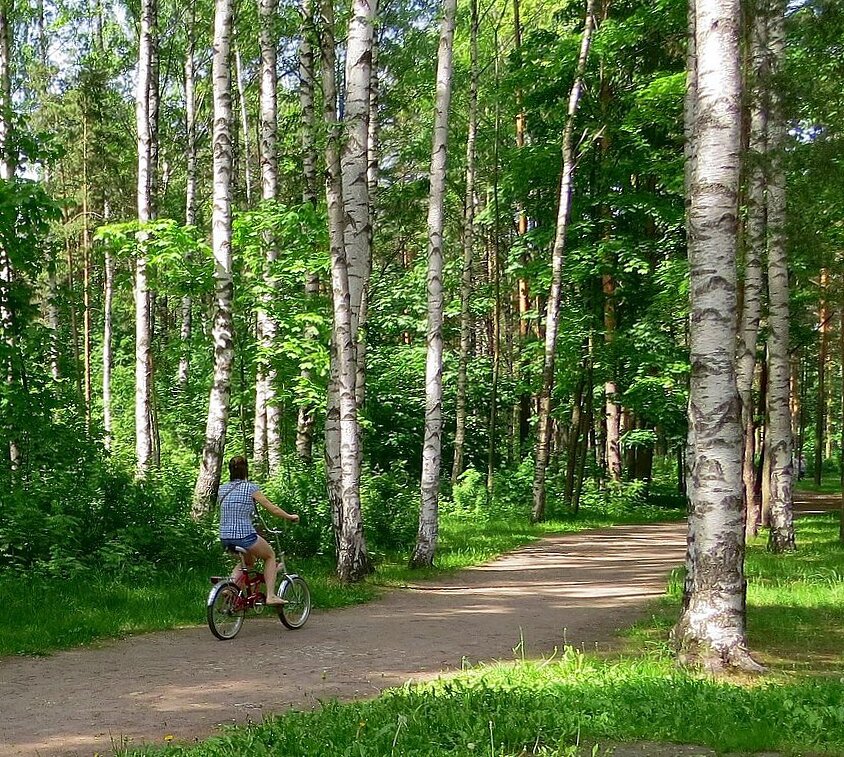 Прогулка в парке - Вера Щукина