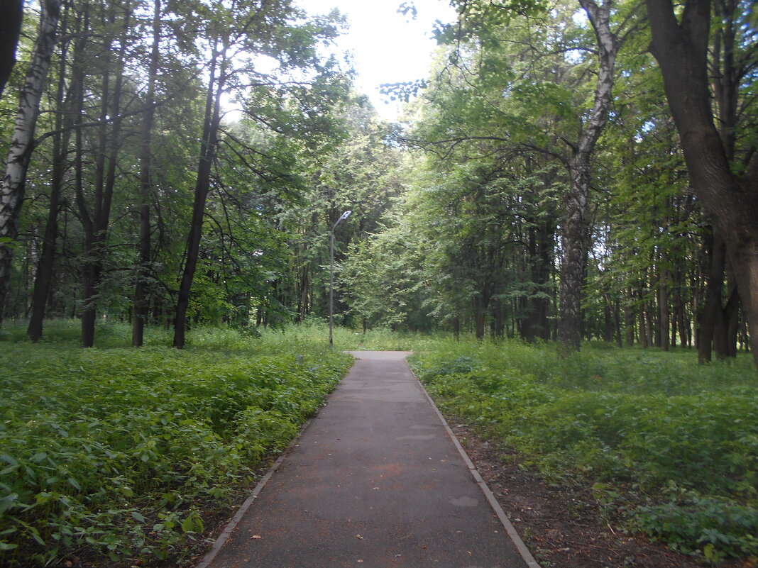 В Центральном парке в Рязани - Tarka 