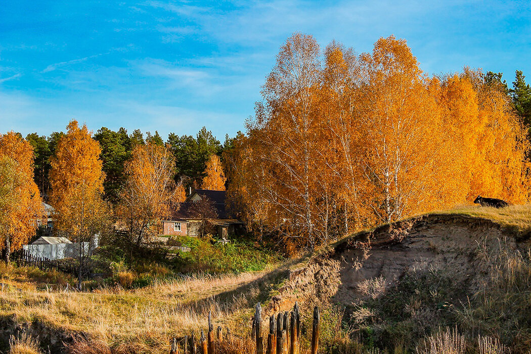 Золотая осень в деревне. - Pavel Vasilev